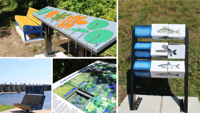 Ķegumā izveidota jauna, labiekārtota dabas taka