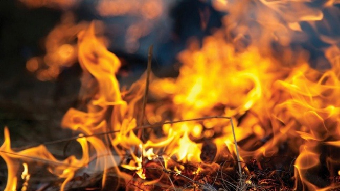 Kūlas dedzināšana ir bīstama un aizliegta!