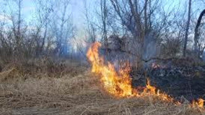 Nededziniet kūlu! Nededziniet savu zemi!