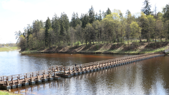 Ogres upē atgriezusies laipa