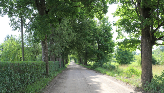 Uzsāks grants ceļu pārbūvi Ogresgalā un Suntažos