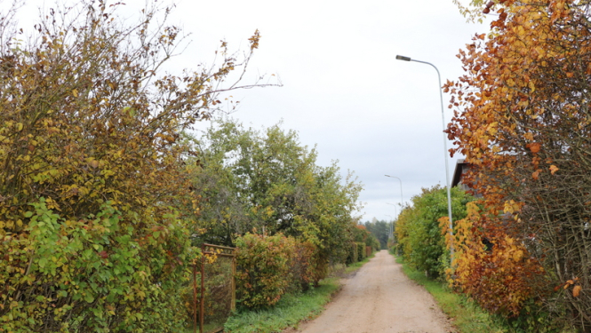 Lašupēs tiks veikta traucējošo zaru apzāģēšana