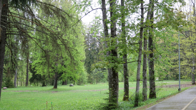 Jāņa Čakstes prospektā 1 tiek izbūvēts bērnu rotaļu laukums