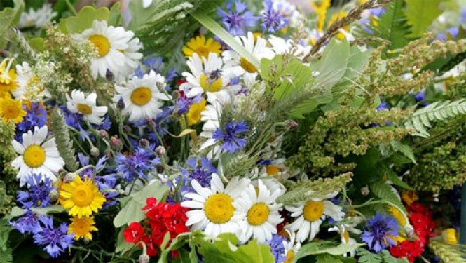 Līgo ziedu pušķis