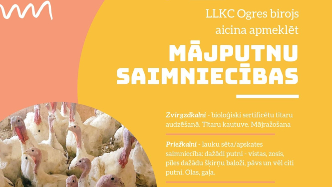 Aicina apmeklēt mājputnu audzēšanas saimniecības Vidzemē