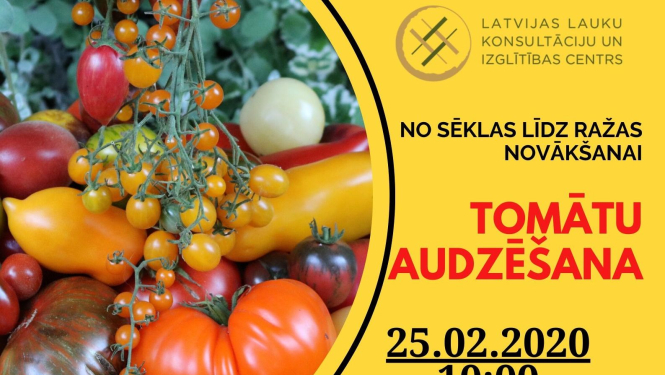 LLKC aicina uz informatīvu bezmaksas semināru par tomātu audzēšanu