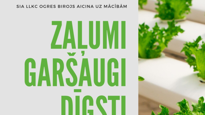 Aicina uz mācībām par par zaļumiem, garšaugiem, dīgstiem jeb mikrozaļumiem, kā arī gurķiem