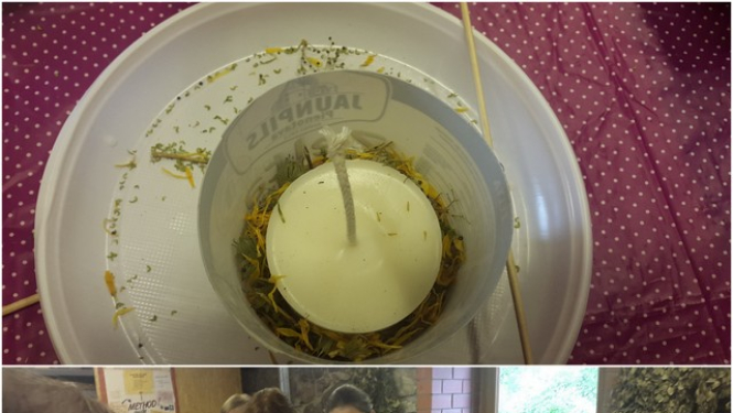 madliena_karjera_06062017