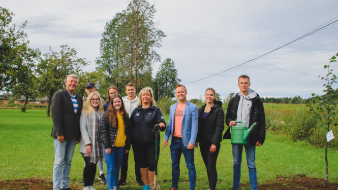 Madlienas pagastā tiek stādīta Holandes liepu aleja