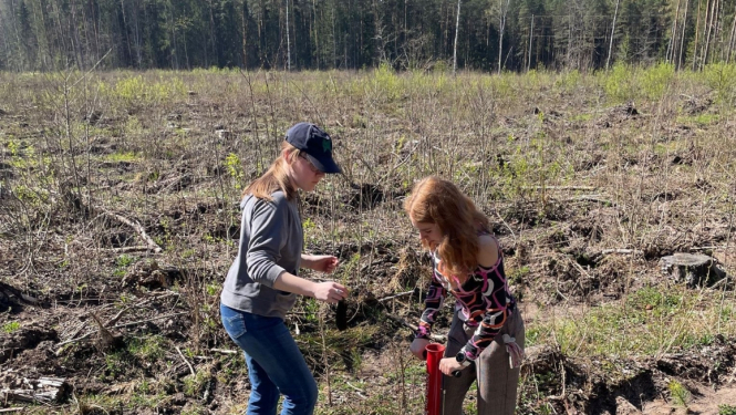 Ogresgala pamatskolas skolēni atjauno mežu Rembatē 22.04.2023.
