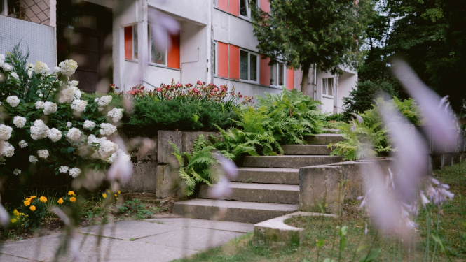 Daudzdzīvokļu mājas Ogrē, Meža prospektā 6, pagalms ar kāpnēm un ziedošiem augiem