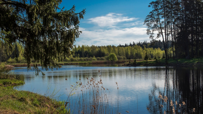 Mežezers Ogres novadā