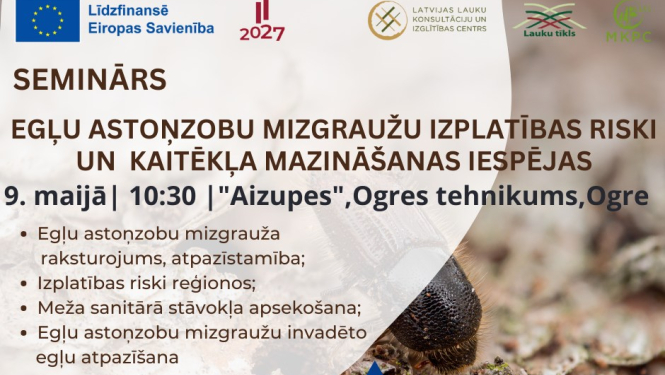 Plakāts semināram “Egļu astoņzobu mizgrauža izplatība, kaitēkļa mazināšanas iespējas, aktualitātes saistībā ar izsludināto ārkārtas situāciju”