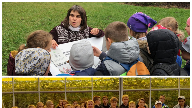 o1vsk_karjera_05122018