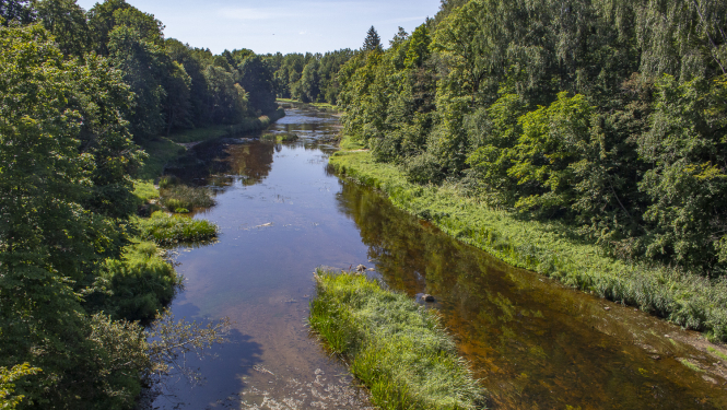 Aicina izteikt viedokli par dabas parka “Ogres ieleja” turpmāko attīstību