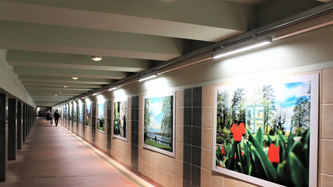 Ogres gājēju tunelī izveidota jauna galerija
