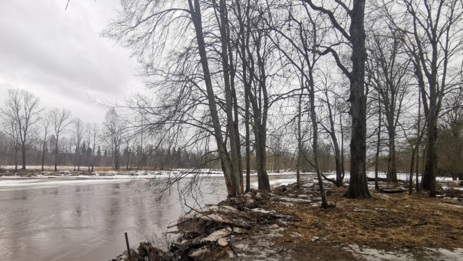 Ogres upe 17.02.2022.