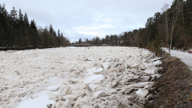 Ogres upe. 18.02.2022.