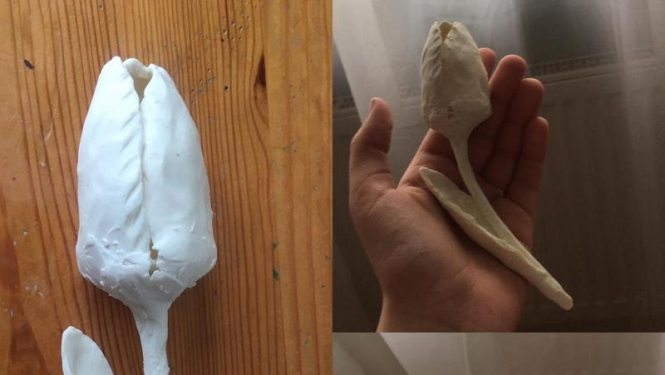 Sveiciens no Mākslas skolas!