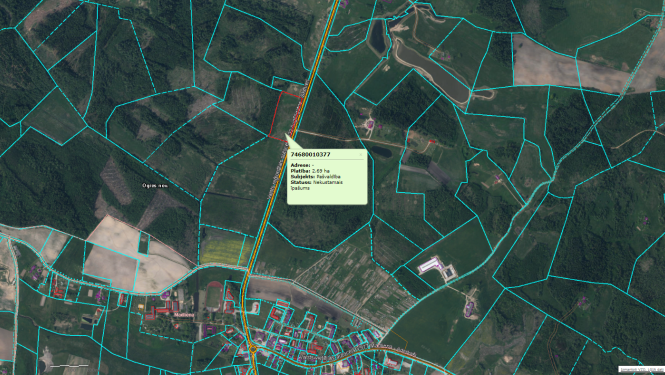 Nomas tiesību izsole īpašumam PRALIČS Madlienas pagastā