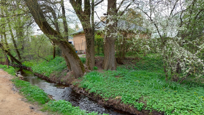 Lebiņas upe, Ogre (24.04.2023)