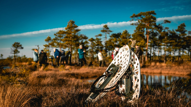 Pārgājiens pa purva takām, koki, purva kurpes