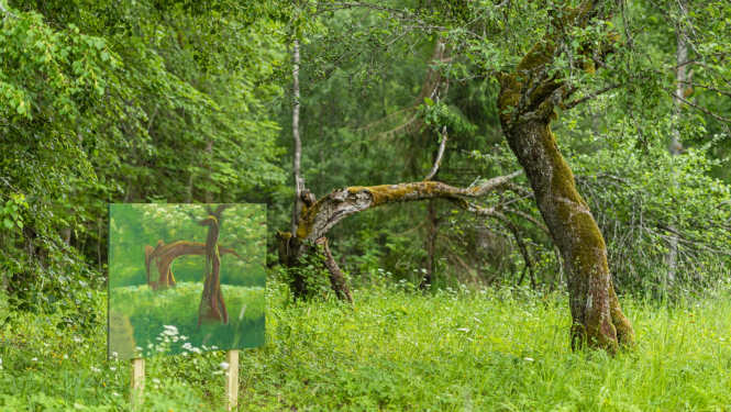 Purvīša muzeja apkārtne