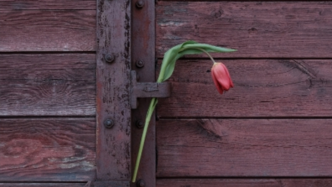 Komunistiskā genocīda piemiņa Madlienā plakāts 14.06.2023