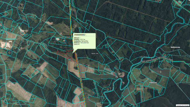 Nomas tiesību izsole īpašumam ROZAS 2 Madlienas pagastā