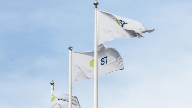 A/S Sadales tīkls karogi 