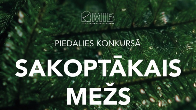 Konkurss Sakoptākais mežs 2023 plakāts