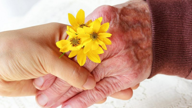 Sveicam novada seniorus!