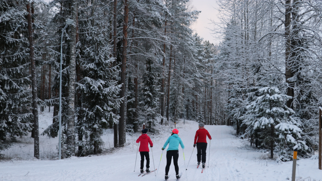 Distanču slēpotāji iecienījuši trases Ogres Zilajos kalnos