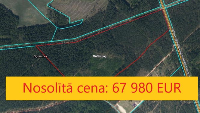 Mežaudzes cirsmas nekustamajā īpašumā “Smiltaines”, Tīnūžu pagastā (izsoles rezultāti)