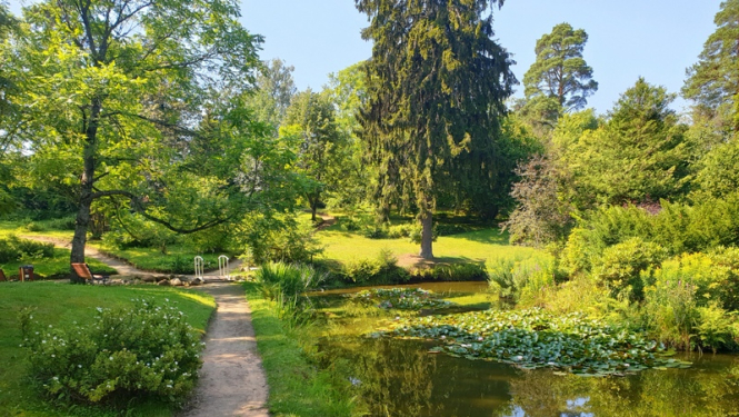 Špakovska parkā tiks papildināti stādījumi