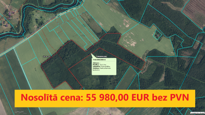 Izsoles "Mežaudzes cirsma "Sūnas"" rezultāts
