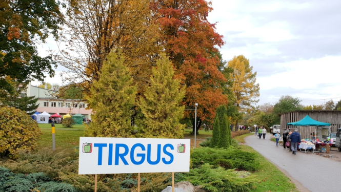 Šajā nedēļas nogalē Suntaži aicina uz Rudens gadatirgu un balli