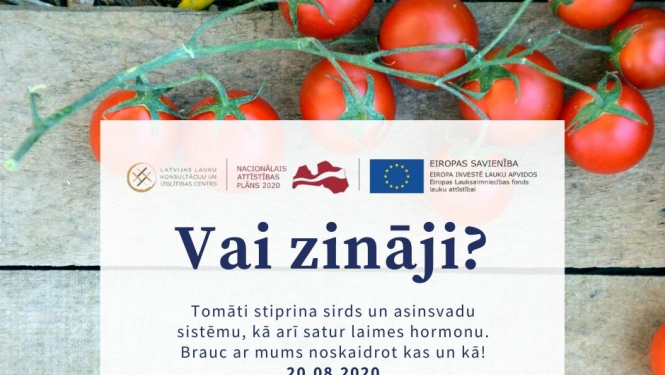 Apmaiņas brauciens uz tomātus audzējošām un pārstrādājošām saimniecībām