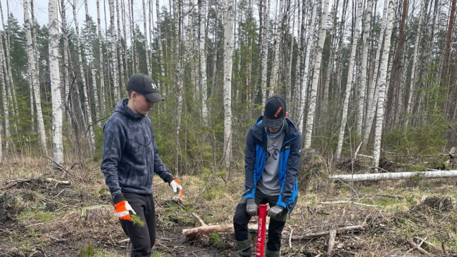 Jaunieši stāda mežu Tomē