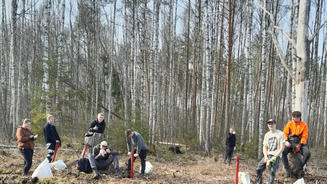 Mežu stādīšana Tomē