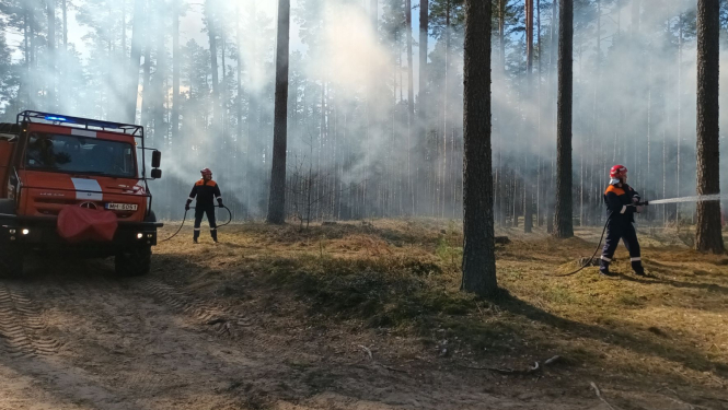 1. maijā stājas spēkā ugunsnedrošais laikaposms Latvijas mežos