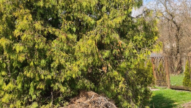 Komposts pie Urgas upes