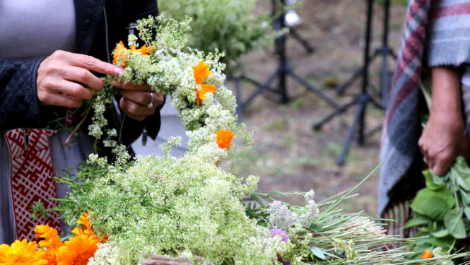 Saulgriežu ieskaņas pasākumi Ogrē un Ogres novadā