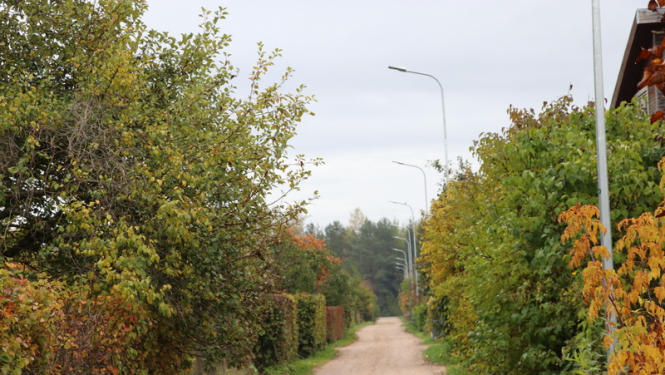 D/s Dārziņi tiks veikta traucējošo zaru apzāģēšana