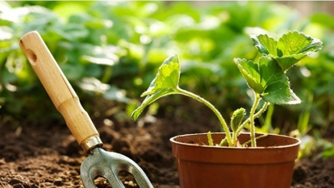 Arī šovasar skolēni varēs attīstīt sociālās prasmes un iemaņas