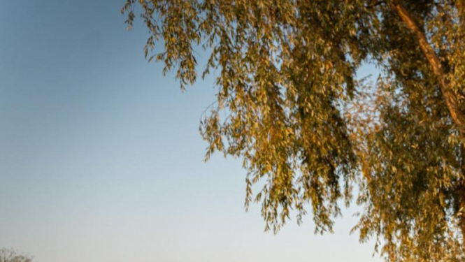 Foto: Gerda Grantiņa