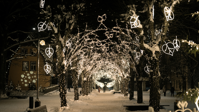 Brīvības ielas gājēju posms ar izgaismotu liepu lapu aleju un gaismas instalāciju eņģeļa spārnu formā