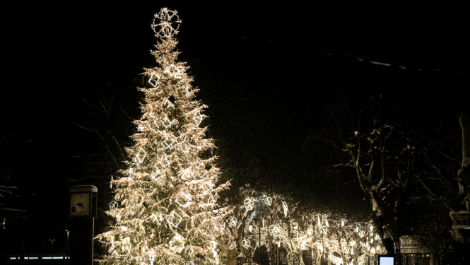 Ziemassvētku egles iedegšana Ogrē 03.12.2023.