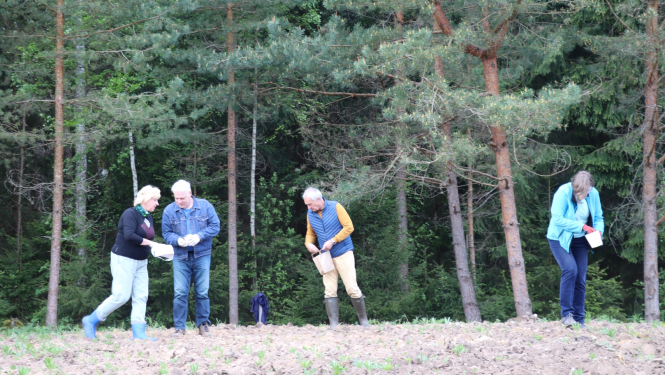 Tūrisma, sporta un atpūtas kompleksa “Zilie kalni” attīstības aģentūras darbinieki sēj saulespuķu sēklas