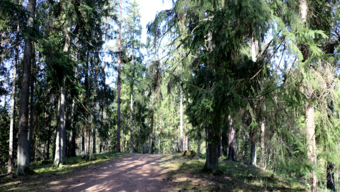 Noteikumi, kas jāievēro Ogres Zilajos kalnos